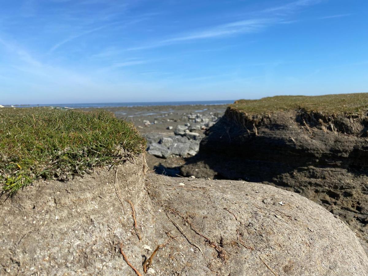 Wierums Huske aan de Waddenzee Eksteriør bilde