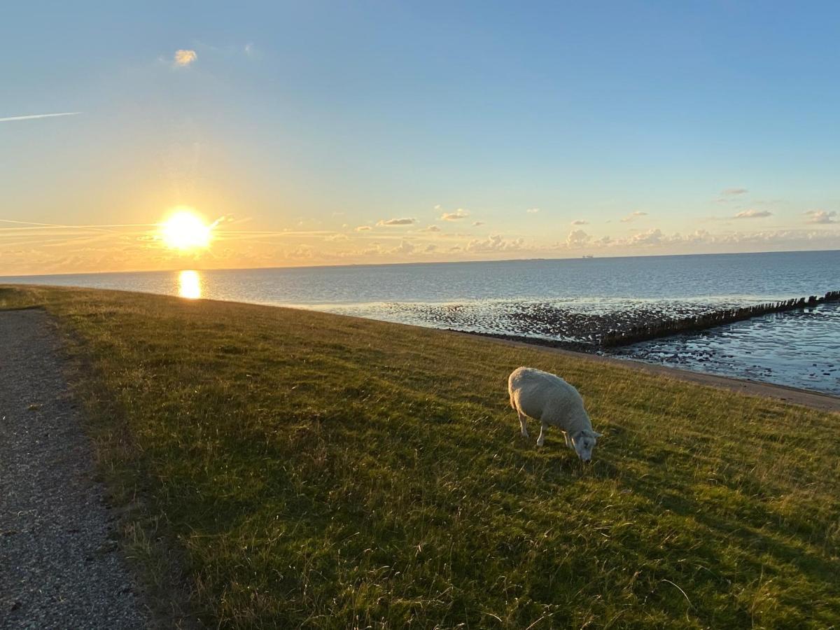 Wierums Huske aan de Waddenzee Eksteriør bilde